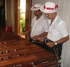 f-marimberos.jpg